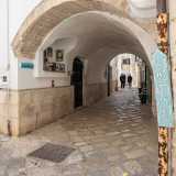 ...da un lunghissimo arco con edicola votiva dedicata a San Rocco